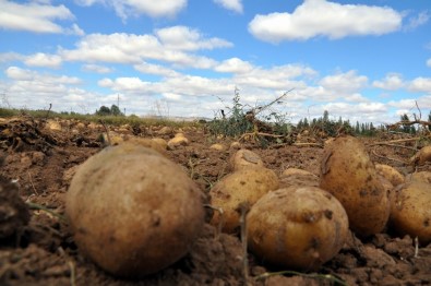 Zarar Gören Üreticiye 850 Milyon TL Ödeme