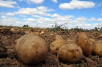 Zarar Gören Üreticiye 850 Milyon TL Ödeme