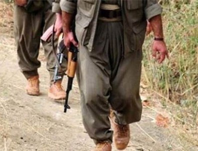 Hakkari ve Van'da PKK'ya ağır darbe