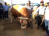 Hayvan Pazarında Kıyasıya Pazarlık