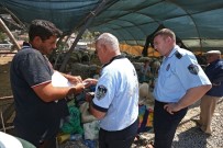 KAÇAK KESİM - Konak'ta Kurban Satış Yerlerine Sıkı Denetim