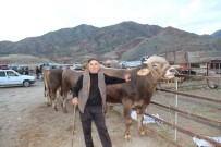 TOSUNLAR - Kurbanlıklar Cep Yakıyor