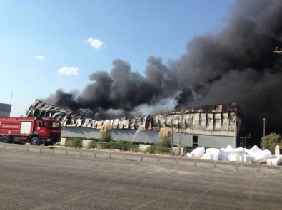 Milas'ta Yangın Fabrikayı Kül Etti