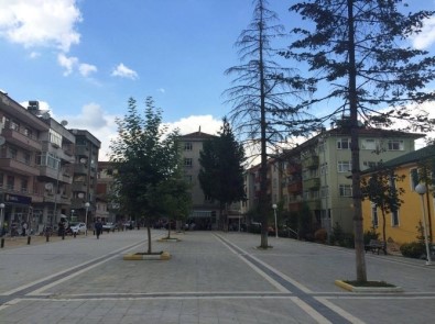 Yığılca Belediyesi Demokrasi Mücadelesini Ölümsüzleştirdi