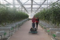 AYRANCıLAR - Eksi 46 Derecede Bir İlk