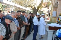 KEMAL KıZıLKAYA - Ömrünün 47 Yılı Muhtarlıkla Geçti