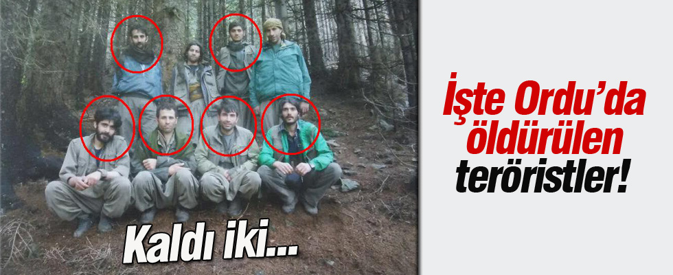 İşte Ordu'da öldürülen teröristler
