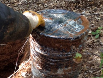 Tunceli'de terör operasyonu