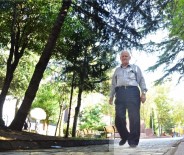 DÜNYA YAŞLILAR GÜNÜ - Türkiye'nin Yaşlı Nüfusu Her Geçen Yıl Artıyor