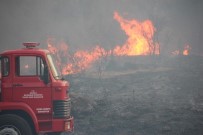 YANGıN YERI - Bodrum'da 7 dönüm alan kül oldu