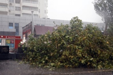 Fırtınada 43 Hatta Elektrik Kesintisi Yaşandı