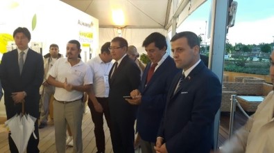 Kazakistan Eğitim Ve Bilim Bakanı EXPO 2016 Antalya'da