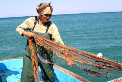 Ağların Sultanı Ekmeğini Denizden Çıkartıyor