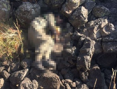 PKK'nın Tendürek bölge sorumlusu Hakan Yeni öldürüldü