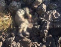 PKK - PKK'nın Tendürek bölge sorumlusu Hakan Yeni öldürüldü