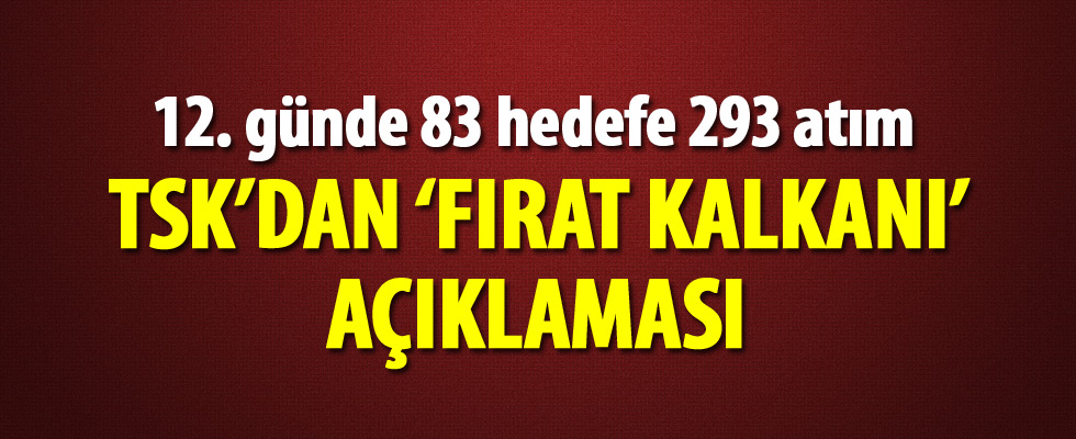 TSK'dan Fırat Kalkanı açıklaması! 83 hedef 293 atış yapılarak vuruldu