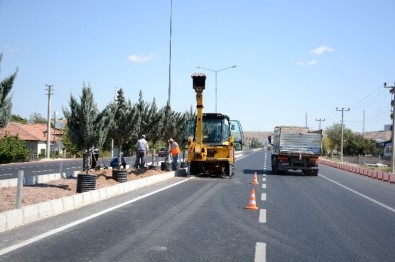 Aksaray Belediyesi, Nevşehir Yolunda Yeşillendirme Çalışması Yapıyor