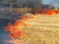 ANIZ YANGINI - Anız Yangınları Doğaya Zarar Veriyor