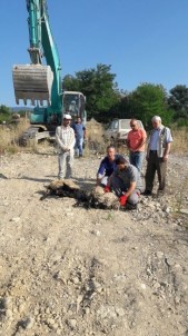 Batı Karadeniz'in Dev Projesi 'Rüya Şehir' Start Alıyor