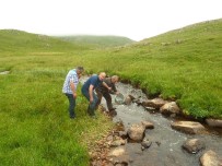 İSHAK YıLMAZ - Çambaşı derelerine 50 bin alabalık bırakıldı