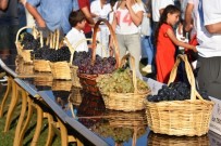 BAĞ BOZUMU - Süleymanpaşa'da En Güzel Üzüm Yarışması Düzenlendi