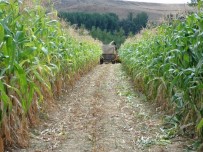 SOYA FASULYESİ - Yozgat'ta Slajlık Mısır Ve Soya Fasulyesi Tarla Günü Düzenlendi