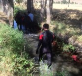 2.5 Yaşındaki Çocuğun Acı Ölümü