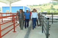 KURBANLIK SATIŞI - Canik'ten Modern Kurban Satış Yeri