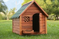 ISI YALITIMI - Dünyanın İlk Isı Yalıtımlı Köpek Kulübesini Bir Türk Firması Üretti