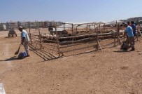 Kurban Kesim Yerleri İçin Özel Temizlik Ve Dezenfekte Ekipleri Oluşturuldu