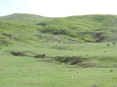 Mera Islahı Çalışmalarına Hız Verildi
