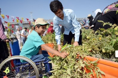 Özel Öğrenciler Hasat Şenliğinde Buluştu