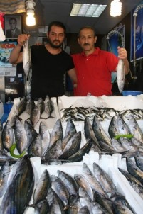 Palamut Tezgahlarda Kendini Göstermeye Başladı
