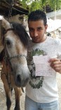 TRAFİK CEZASI - Yarış Atına Trafik Cezası