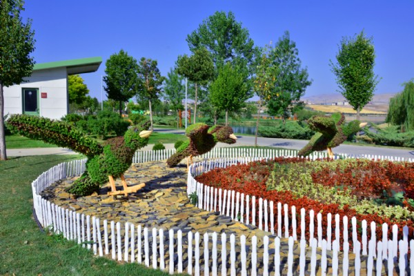 Bitki kuşlar kendine hayran bırakıyor