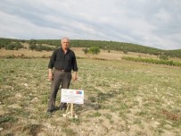 İSTİMLAK - Arazi Sahipleri, Bor İşletmesi Müdürlüğü'nden Arazi Yolu İstiyor