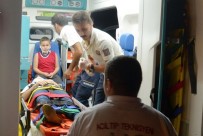 Fatsa'da Trafik Kazası Açıklaması 5 Yaralı