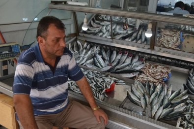 Gelibolu'da Balık Fiyatları Düştü