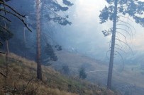 Yozgat'ta Orman Yangını Haberi
