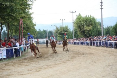 5. Mahalli At Yarışları 24 Eylül'de
