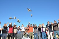 TUNCAY AKKOYUN - 500 Kınalı Keklik Doğal Yaşama Kanat Çırptı