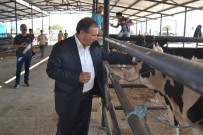 KURBANLIK HAYVAN - Başkan Avcu'dan Vatandaşlara 'Kurban' Çağrısı