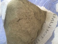 İZZETTIN KÜÇÜK - Çölyaklıların Umudu Karabuğdayda İlk Hasat