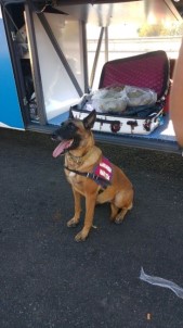 Jandarma'dan Uyuşturucu Operasyonu