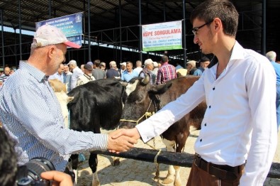 Kurbanlık Seçiminde Püf Noktalar