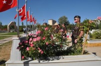 Terörle Mücadele Şehitlerinin Mezarları Yaptırıldı