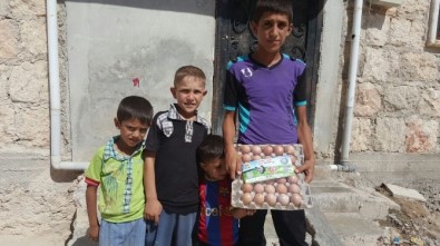 Adana'dan Cerablus'a 125 Bin Yumurta Gönderildi