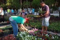 BELEDİYE MEZARLIĞI - Alanya Belediyesi, Mezarlıklarda Çiçek Dağıtıyor