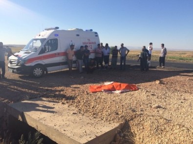 Diyarbakır'da Trafik Kazası Açıklaması 1 Ölü, 2 Yaralı