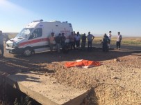 GAZİ YAŞARGİL - Diyarbakır'da Trafik Kazası Açıklaması 1 Ölü, 2 Yaralı
